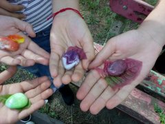 IMG_20180530_090732.jpg